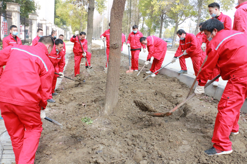 金澳集團團委組織“愛我金澳 維護生态”植樹節活動
